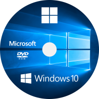 Licenta OEM Microsoft Windows 10 Home 